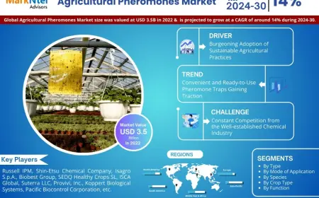 Agricultural Pheromones Market Research 2024–2030: Growth, Size & Opportunities