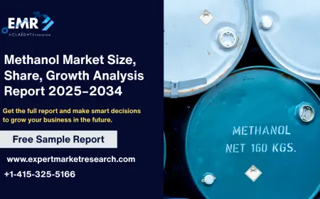 Methanol Market Size, Share, Growth Analysis Report 2025–2034