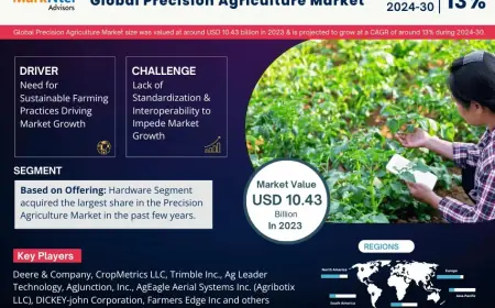Precision Agriculture Market Research 2024–2030: Growth, Size & Opportunities
