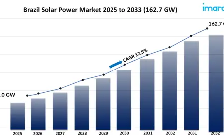 Who Are the Major Players in the Brazil Solar Power Market?