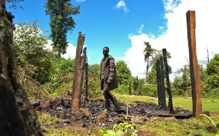 “After 4 Years of a Land Struggle, We Finally Got Justice” – Joy’s Story from Kamaki’s