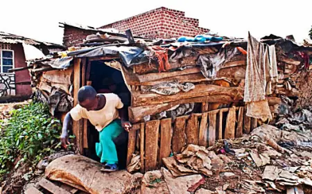 “After 4 Years of a Land Struggle, We Finally Got Justice” – Joy’s Story from Kamaki’s