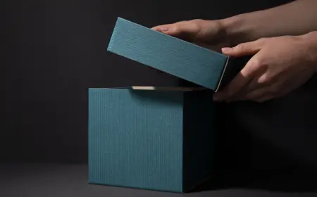 How to Maximize Your VIP Box Streaming Experience?