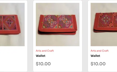 Best Hmong Applique Quilts in Minnesota – Handcrafted Treasures by Hmong Artisans