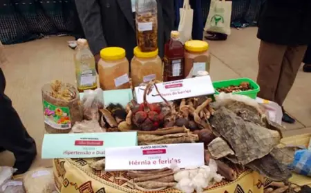 My Mother Fell Ill Suddenly and Healed Overnight After I Took Her to a Powerful Healer