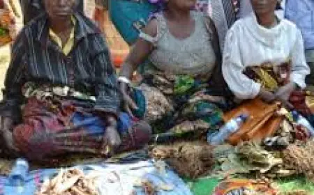 How My Mother Became Seriously Ill and Recovered Overnight After I Took Her to a Powerful Healer