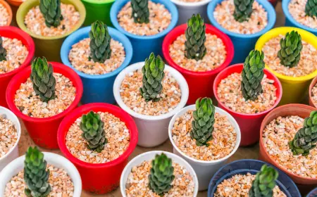 Transform Your Space with Mini Pots: A Tiny Trend with Big Impact