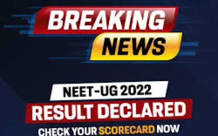 World’s on Fire, Twitter’s on Roast Mode