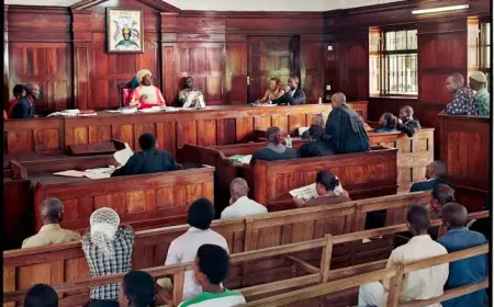 A Court Case Turned Miracle – How a Powerful Man Helped My Brother Walk Free After False Maandamano Accusation