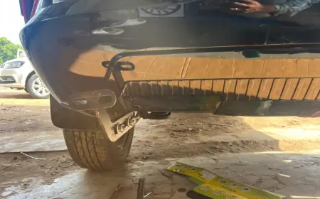 Rear Guard Vs Side Stepper