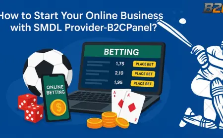 How to Start Your Online Business with SMDL Provider-B2CPanel?