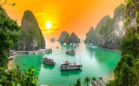 Vietnam Nightlife Magic: A Journey Through Neon Lights, Street Flavors & Joyful Vibes