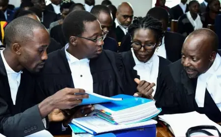 A Land Dispute That Dragged for 12 Years Finally Ended in My Favour After This