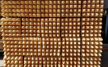 The Ground Truth: How Construction Stakes in Oregon Keep Projects on Track