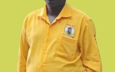 Hassan Basajjabalaba!! A Visionary Leader For Uganda's Development