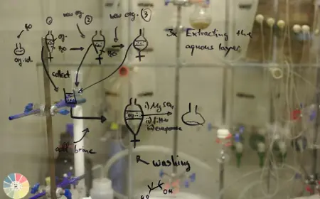 Decoding RNA-Protein Interactions through eCLIP