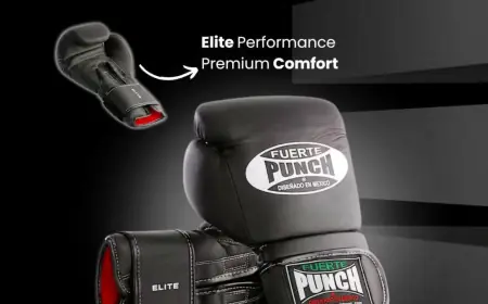 Best Boxing Gloves You’ll Ever Own – Find Your Perfect Pair Today!
