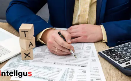 Outsource CFO Services: Game Changer for Growing Services Firms