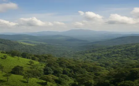 Sakleshpur – The Ideal Weekend Getaway from Bengaluru