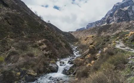 A Peaceful Journey to the Mountains – My Ghorepani Ghandruk Trek