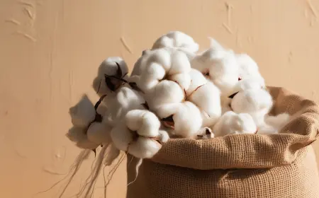 Cotton Price Index 2025: Trend, Chart & Forecast