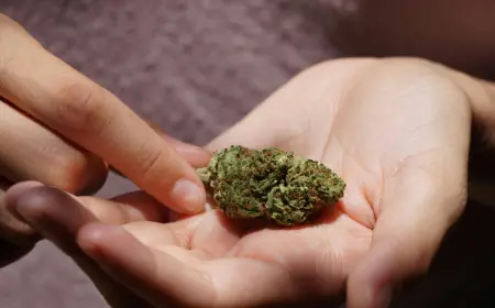 Hidden Gem in Madison: Where THCA Flower Quality Outshines the Rest