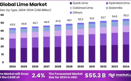 Lime Market Dynamics: Key Drivers and Restraints