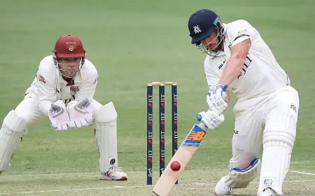 Willow & Leather: Tales from the Pitch