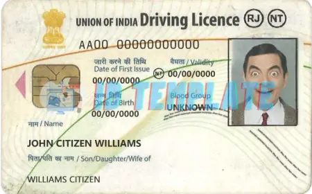 How Fake Driver License Front and Back Replicate Kerala ID