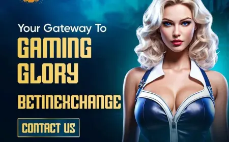 Stay Ahead of the Game with Betinexchange