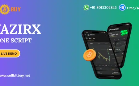 Everything You Need to Know About WazirX Clone Script Development