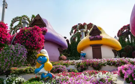 The Story Behind Dubai Miracle Garden: World’s Largest Flower Garden