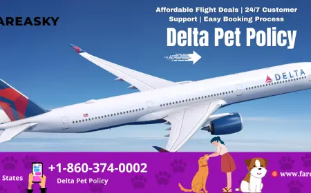Delta Pet Policy Guide: Everything You Need to Know Before Flying with Pets