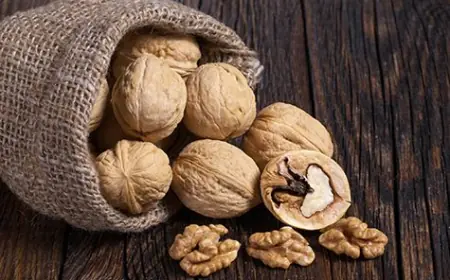 Best Walnuts Brand in India – Buy from Top Suppliers Now