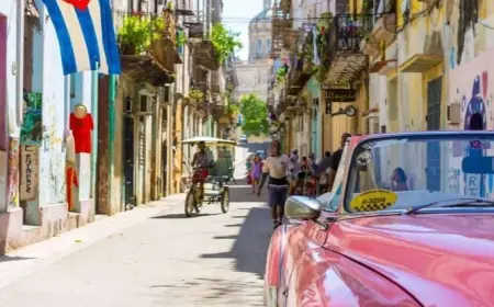 Journey into the Extraordinary with Vive Mas Tours: Your Next Great Escape