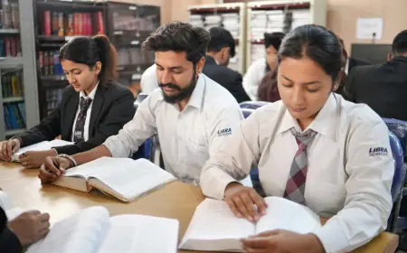 Emerging Career Opportunities After Law Graduation