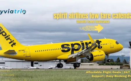 Unlock Affordable Travel with the Spirit Airlines Low Fare Calendar