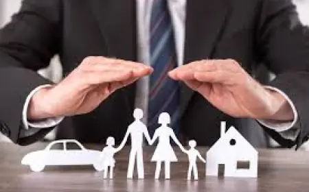 Ireland Life & Non-Life Insurance Market 2030 by Segment