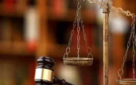 What Helpful Legal Services Does the Top Law Firm in Delhi High Court Offer?