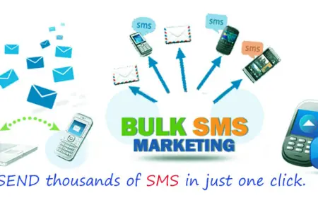 How to Maximize ROI with Bulk SMS Services