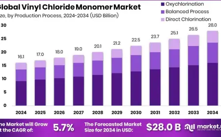 Vinyl Chloride Monomer Market Insights by Application and End-Use Industry