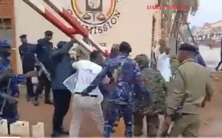 UYD members storm EC headquarters, arrested over delay in petition feedback.