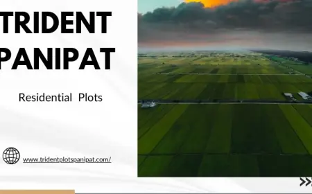 Trident Plots Panipat | Plots for Make Home
