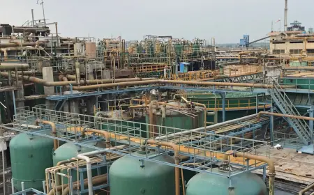 Report on Chlor-alkali Production Plant Cost Analysis 2025: Raw Material Requirements, Industry Trends & Business Plan