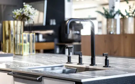 Black and Stainless Steel Sink: Where Modern Sophistication Meets Everyday Durability