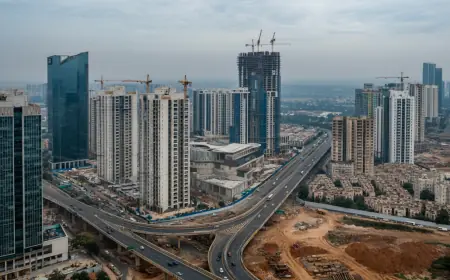 Real Estate Agents vs Companies in India: Who Should You Trust?