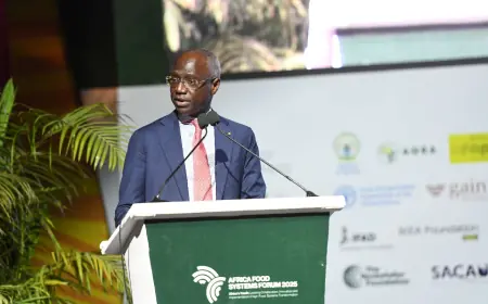 Food systems stakeholders to convene in Senegal this August to discuss African youth investment in agriculture