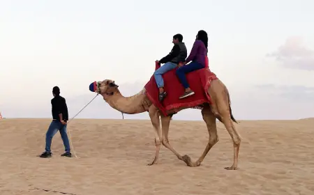 Discover the Ultimate Desert Safari Tour in Dubai