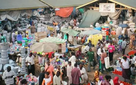 “From Survival to Success — My Breakthrough in Business”