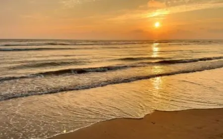 Recharge and Reconnect: Why Sunny Beach Is the Millennial Haven You Didn’t Know You Needed